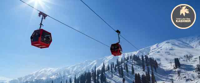 About Lake View Kashmir Hotel